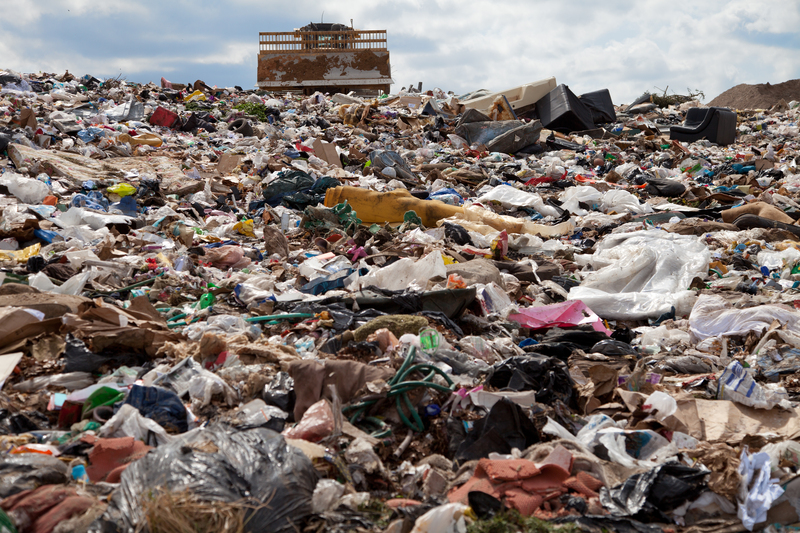 Unlocking the Hidden Value in Wood Waste